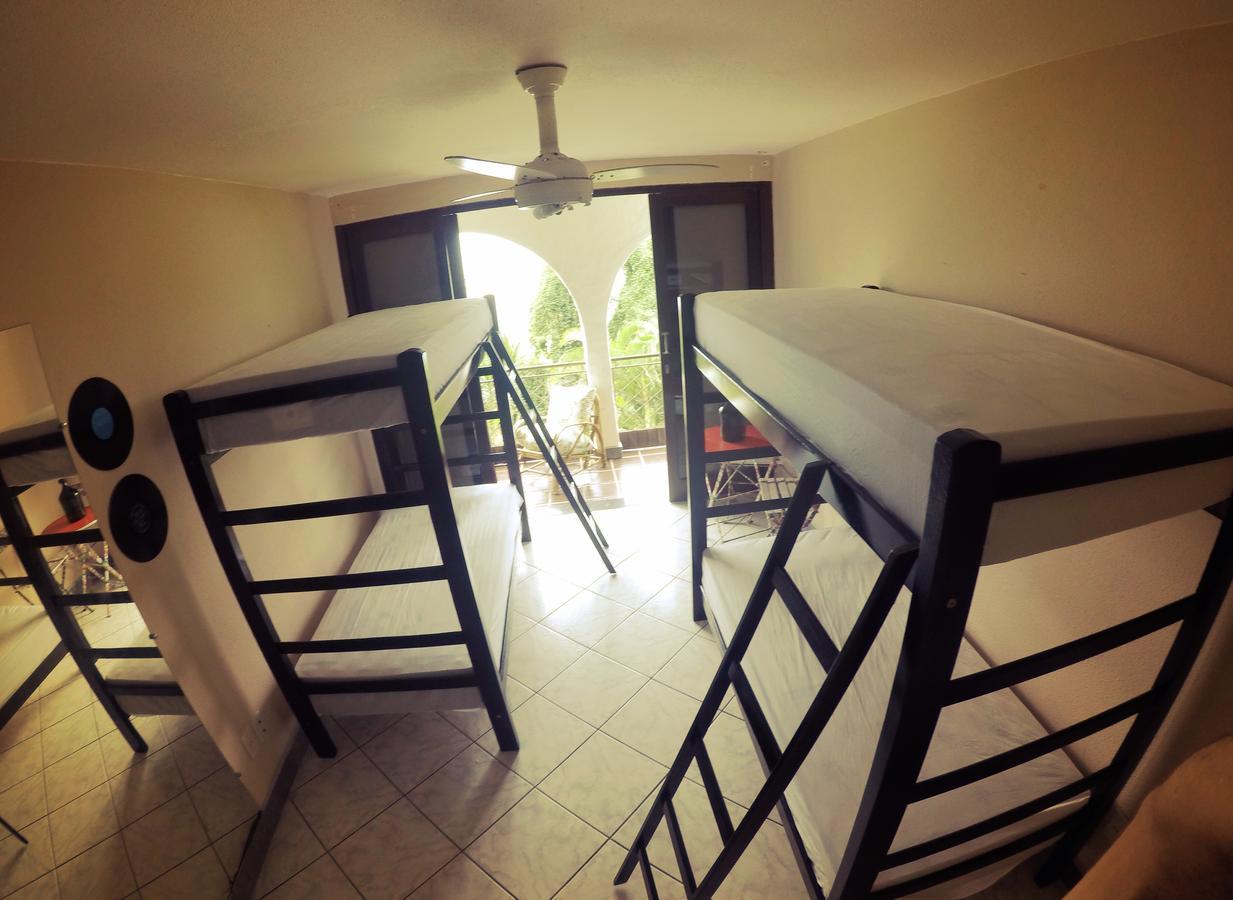 Hostel House 84 Itajaí Extérieur photo